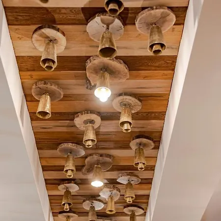 103 Alpine Hotel Panichishte