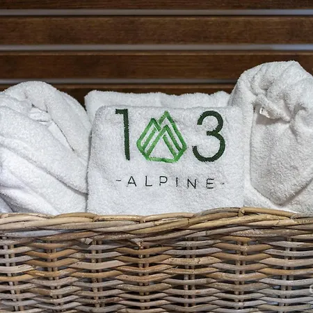 103 Alpine ホテル パニチシテ