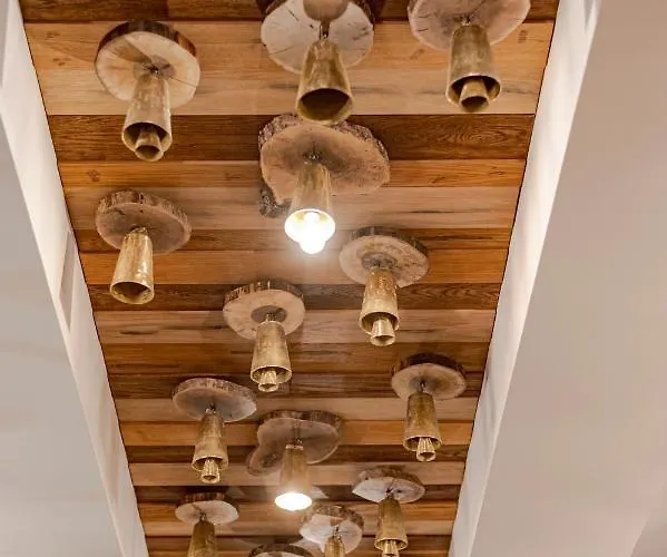 103 Alpine Hotel Panichishte